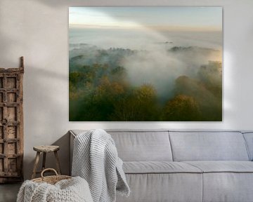 Misty forest overhead aerial view during autumn by Sjoerd van der Wal Photography