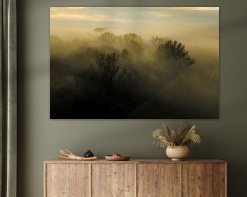 Misty forest overhead aerial view during autumn by Sjoerd van der Wal Photography