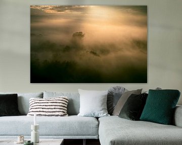 Misty forest overhead aerial view during autumn by Sjoerd van der Wal Photography