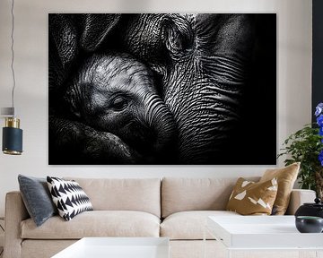 Close-up mother and baby elephant by Art & Soul Creations