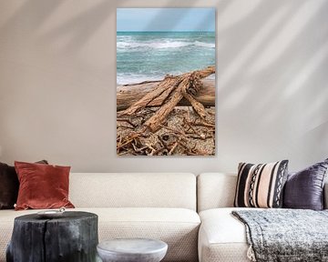 Drijfhout aan de middellandse zee