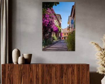 straatje met bloemen in het franse stadje Saint Tropez