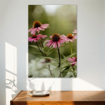 Chapeau de soleil, l'été en fleurs