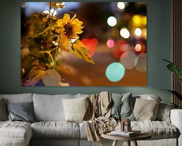 Sunflower  by Marianna Pobedimova