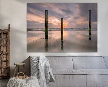 Palendorp Petten - 2 by Bart van den Dikkenberg