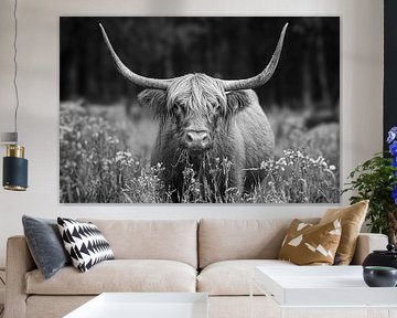 Majestueux Highlander écossais photographié dans la réserve naturelle de Stippelberg, à Deurne. Un spectacle intemporel de tranquillité et de beauté naturelle. sur Joyce van Dijk Fotografie