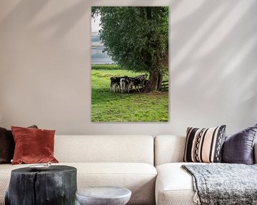 Vaches dans le polder sur Kees Goethart