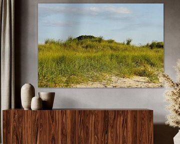 Strandduinen