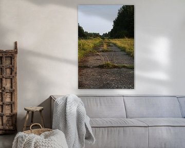 Verlaten pad – overwoekerd asfalt tussen de bomen van Masterpiece Living