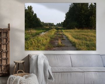 Rustiek weiland – overwoekerd asfaltpad met koeien van Masterpiece Living