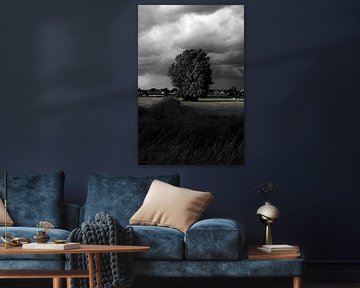 Silent power in black and white - tree in sun and wind by Masterpiece Living