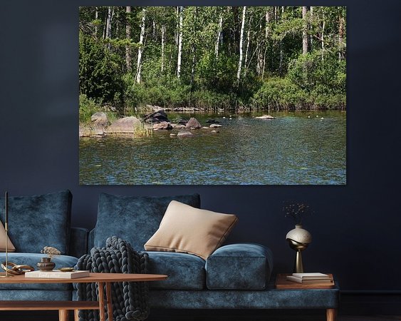 Aperçu de la chambre