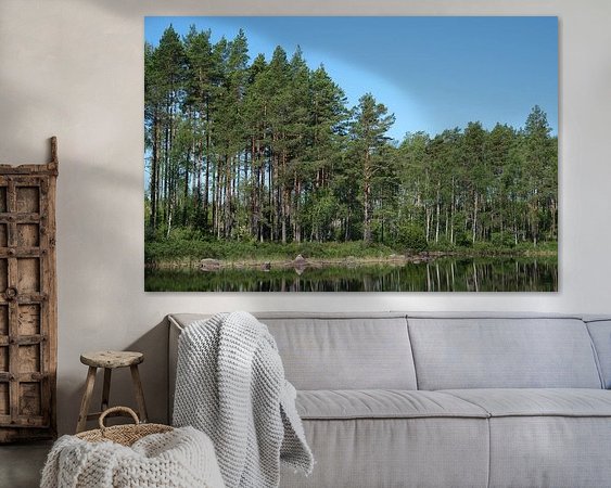 Aperçu de la chambre