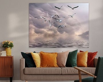Seagull sky