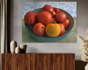 Tomato harvest in august