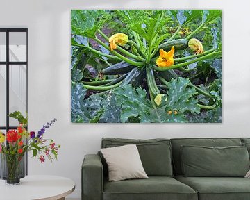 Green garden courgettes