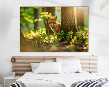 A fox in the forest