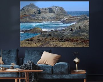 Veel pelsrobben op de Nee Islets van Frank's Awesome Travels
