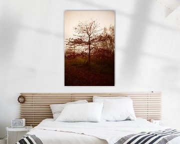 Herbstbaum im Morgennebel