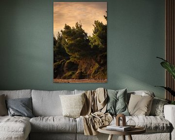 Sunset along the pine beach by Stille Vertelling
