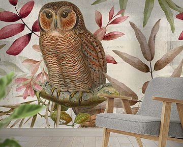 Autumn impression with owl