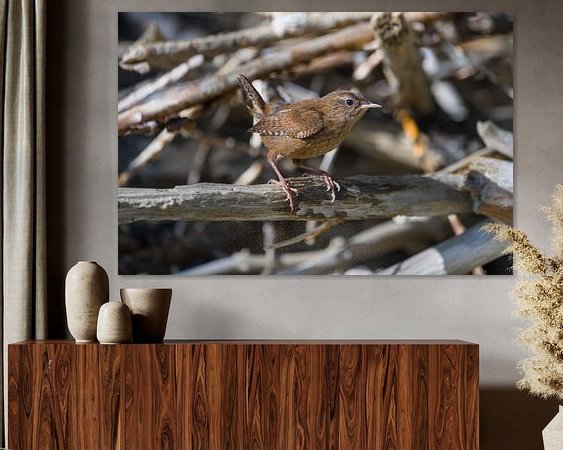 Aperçu de la chambre