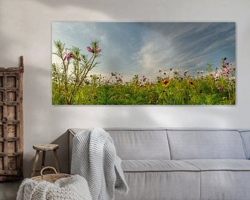 Wilde bloemen pracht!