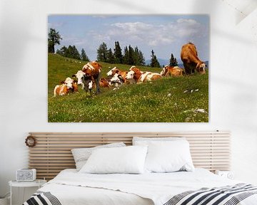 Vaches rouges et blanches dans un alpage autrichien sur Jani Moerlands