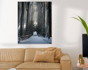 Winterspaziergang im Wald