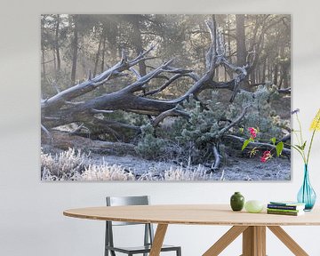 Frosted dead tree