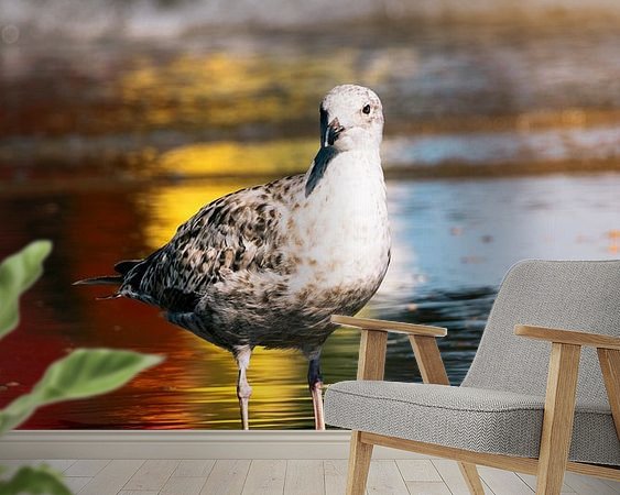 Raumvorschau