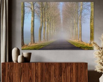 Landweg, met bomen in de mist by Bram van Broekhoven