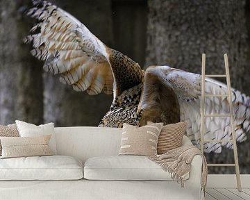 Opstijgende uil van Buellom