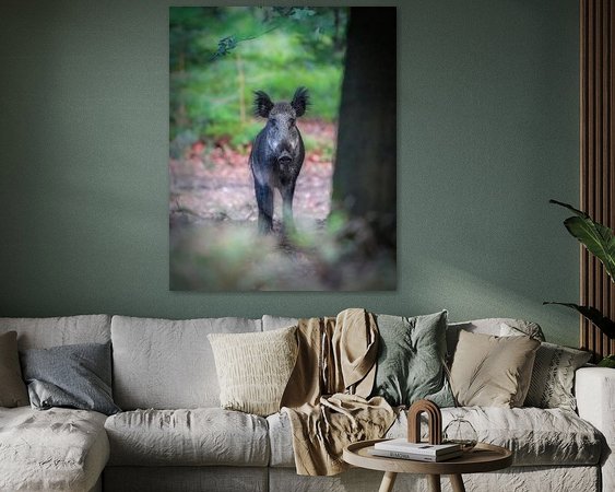 Aperçu de la chambre