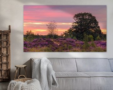 Zonsopkomst over de paarse hei in de Bakkeveense Duinen van Henk Meijer Photography