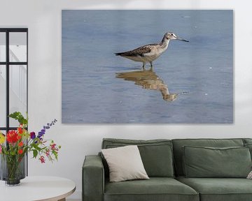 Greenshank by Henk Kip