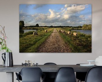 Sommerweg - Landstraße mit weidenden Schafen