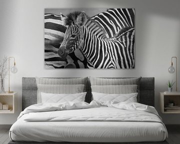 Zebra von Carla Mesken-Dijkhoff