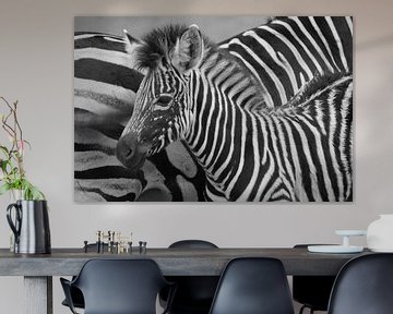 Zebra van Carla Mesken-Dijkhoff