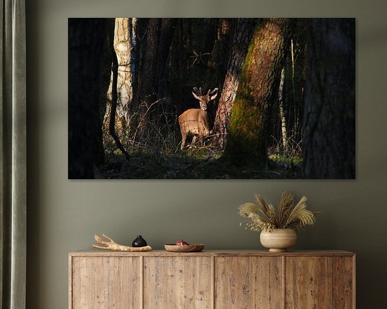 Aperçu de la chambre