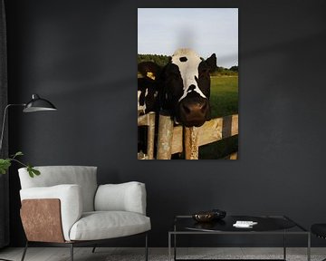 Over het hek – nieuwsgierige koe in groen weiland van Masterpiece Living