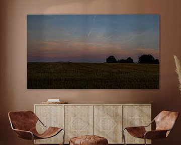 Sonnenuntergang über einem Getreidefeld