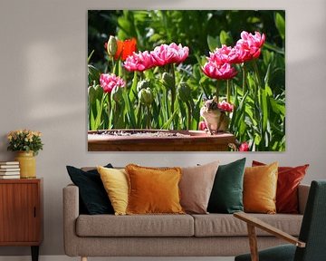 Un écureuil au jardin au printemps sur Claude Laprise