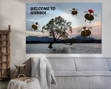 Welkom in Wanaka