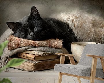 Books and Dreams - Cat autumn still life full of cosiness by Joriali Fine Art