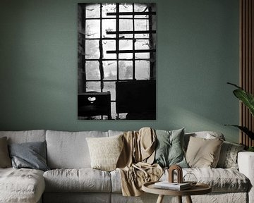 Window with spider webs. van JRobert Photography