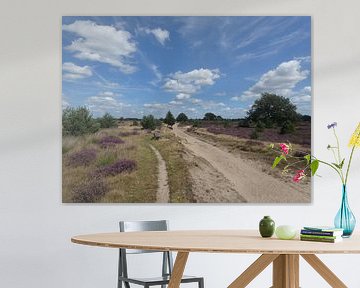 Un après-midi d'été aux Pays-Bas