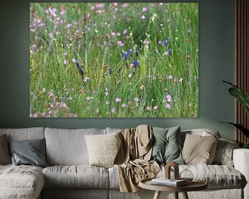 meadow flowers with gentian by Petra De Jonge