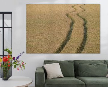 Grain Trail