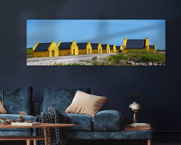 Bonaire, le joyau tropical des Caraïbes sur Patrick Fotografeert